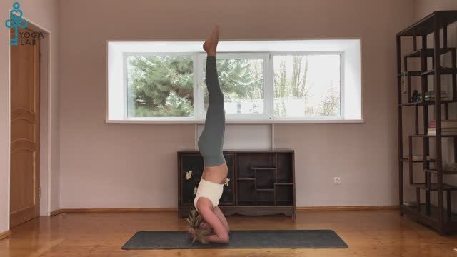 Hatha Yoga Poses