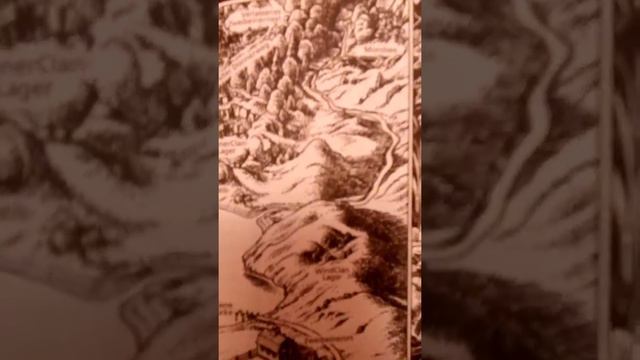 Описание книги "Коты 🐈 воители" смотреть онлайн