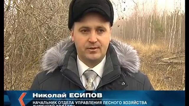 В Липецке заработали елочные базары смотреть онлайн