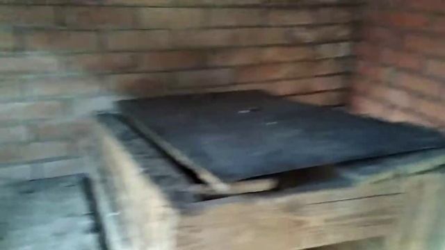 Куры несушки породы Бентамки условия содержания