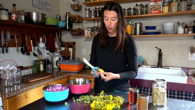 Summer Foraging & Cooking At The Cabin смотреть онлайн