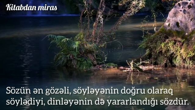 ARİSTOTELİN QIZIL KƏLAMLARI