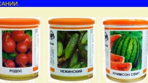 Ранние Сорта Арбузов