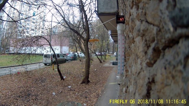 Под окном 2018 нояб 08 Синица живность смотреть онлайн
