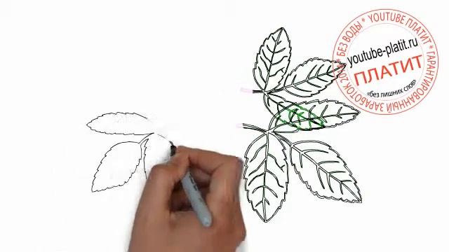 Как нарисовать цветок на ветке смотреть онлайн