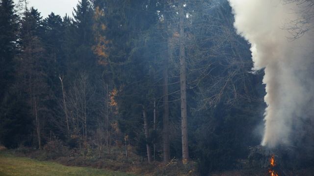 Survival: Making A Signalfire - Smoke Signals - 4K