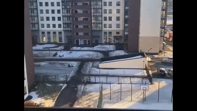 Студия , Спб Ветеранов пр., 175/ Аренда 02.03.2022 смотреть онлайн