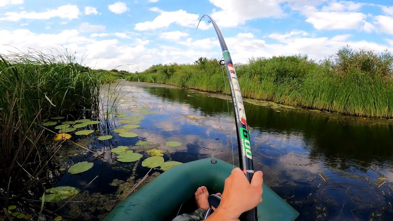 Ловля щуки на удочку на живца! Щука на поплавок летом! смотреть онлайн