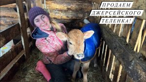 Отёл Джерсейской коровы Феи! Первый самодельный теленок! Насыщенная жизнь в деревне!