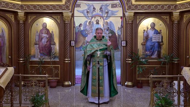 Богатство: неправедное и истинное. Проповедь священника Димитрия Лушникова 6 феврвля 2021 смотреть онлайн