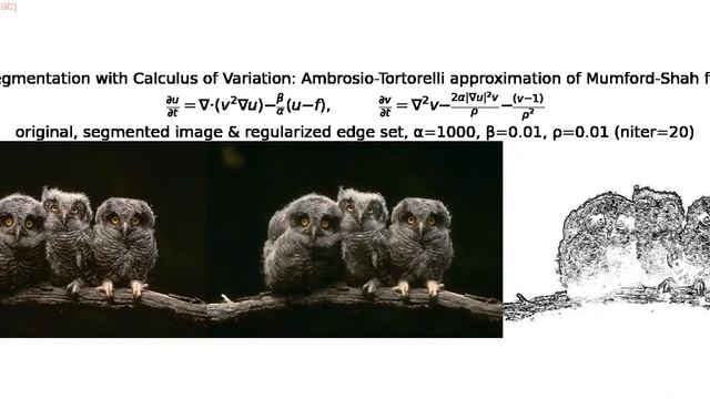Image Segmentation | Mumford-Shah | Calculus of Variations | Ambrosio-Tortorelli Approx| PDE| pytho смотреть онлайн
