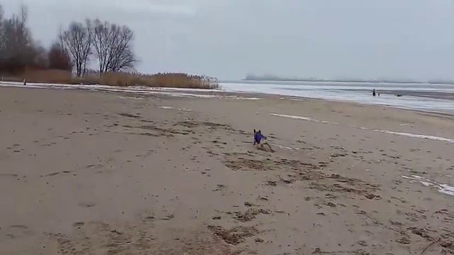 Черкассы, берег Днепра смотреть онлайн