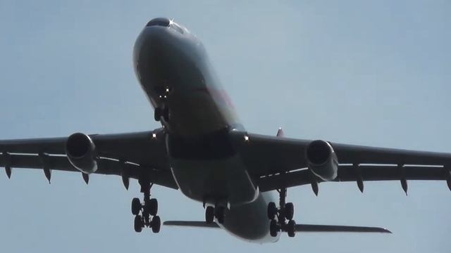 Airbus A340-313x Air Belgium Landing Charleroi Airport смотреть онлайн