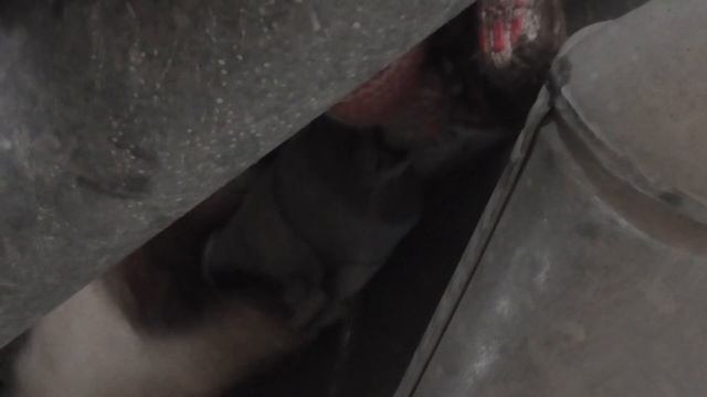 Замена топливного фильтра НИВА 21214