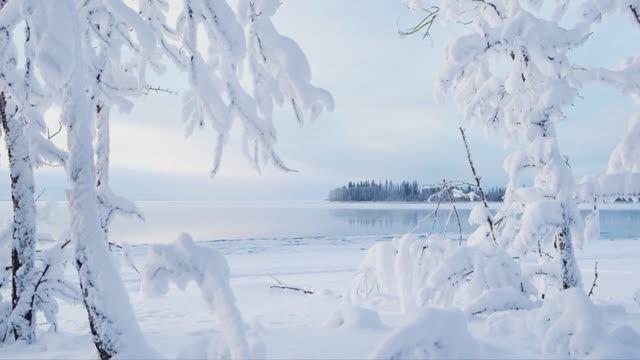 ♫.J.S. Bach - "Siciliano" , Sonate NO. 2. Bwv 103] - Szentpéteri Csilla смотреть онлайн