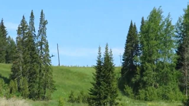 Коршун и ворона смотреть онлайн