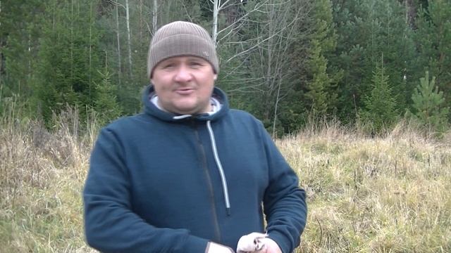 Выращивание липы на севере, от семени до полноценного дерева. Часть первая. Стратификация смотреть онлайн