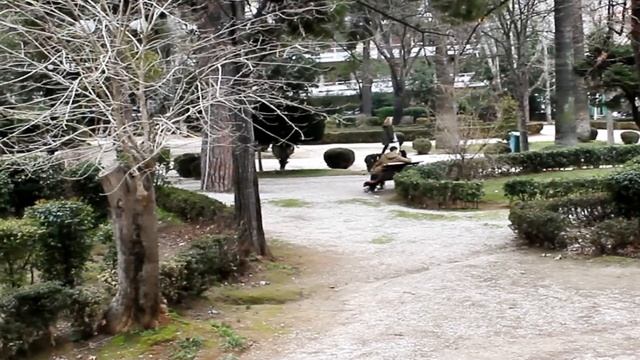 АФИНСКИЙ МУЗЕЙ естественной истории ГУЛАНДРИС / СЕВЕРНЫЕ АФИНЫ смотреть онлайн