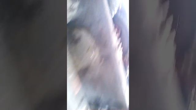 МТЗ  Гайка хвостовика как закрутить ремонт КПП