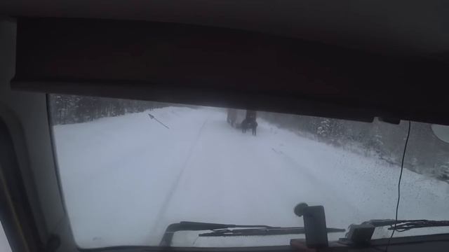 35 км в день! Идём домой! #volvo #700дорог #якутия смотреть онлайн