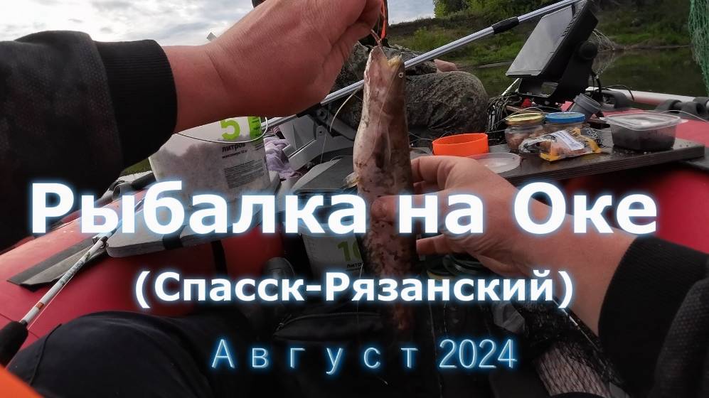 Рыбалка на Оке август 2024