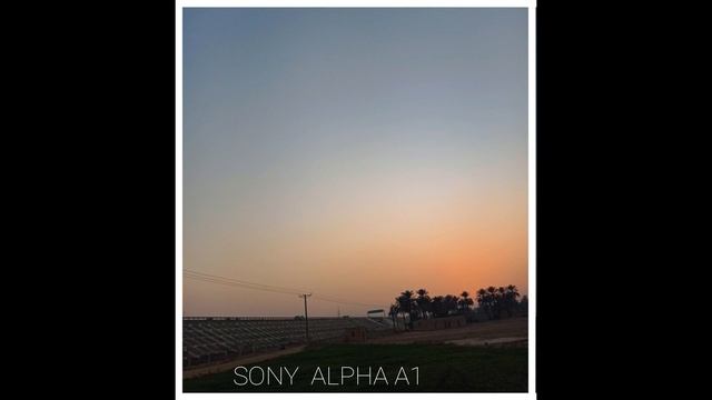Sony Alpha A1 Vs Sony A9 III Low Light Camera Test смотреть онлайн