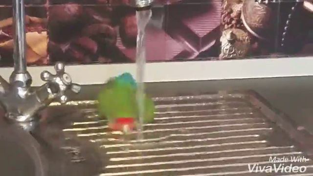 Неразлучники смотреть онлайн