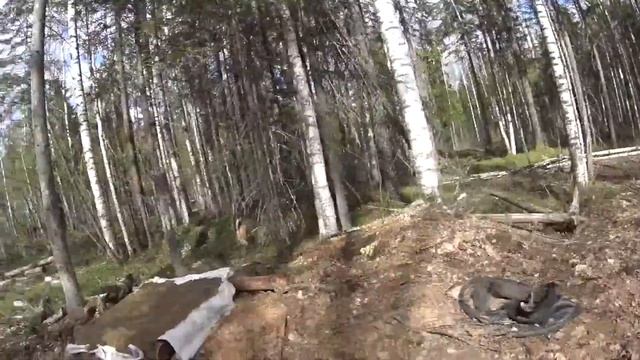 Галечник для глухаря, рябчика смотреть онлайн