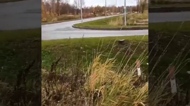 Топосъемка участка для Ландшафтного проекта смотреть онлайн