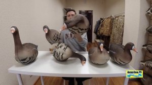 Сравнение Белолобые SuperXPE 3D 2021и Белолобые Softplast 3D 2021 Норс Вей чучела гусей для охоты