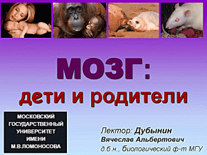 "МОЗГ: ДЕТИ и РОДИТЕЛИ" -Вячеслав Дубынин(лекция)