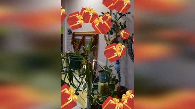 "Нордтекс новогодний" - наряжаем комнатные растения! смотреть онлайн