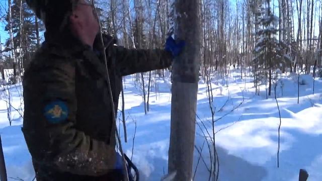 ПИЛИМ СТАРЫЕ СТОЛБЫ ОТ РАДИОЛИНИИ НА ДРОВА. Снегоход см-002. смотреть онлайн