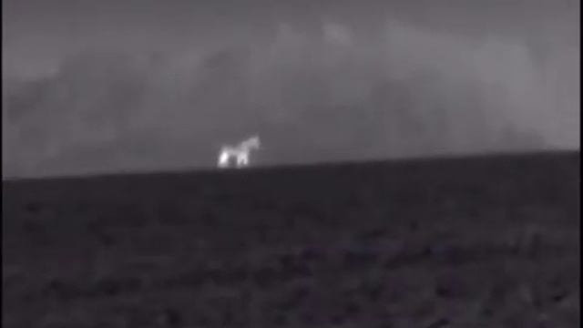 Лоси в Pulsar Helion XQ38F смотреть онлайн