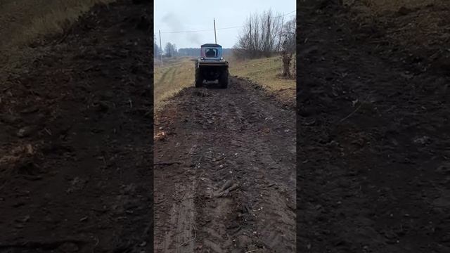 Трактор Т-40 расчистка под пасеку смотреть онлайн