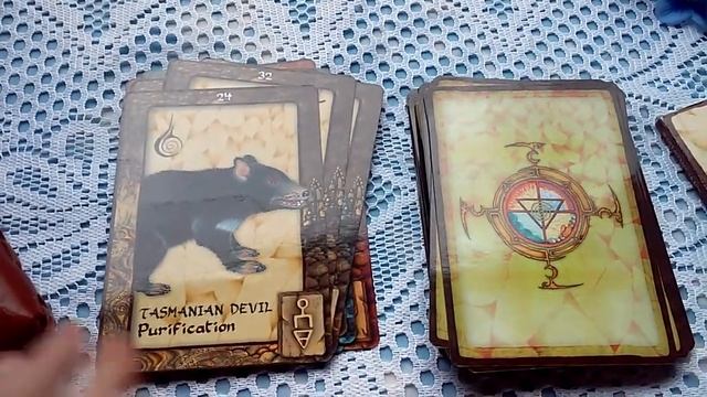 Animal Dreaming Oracle Cards смотреть онлайн