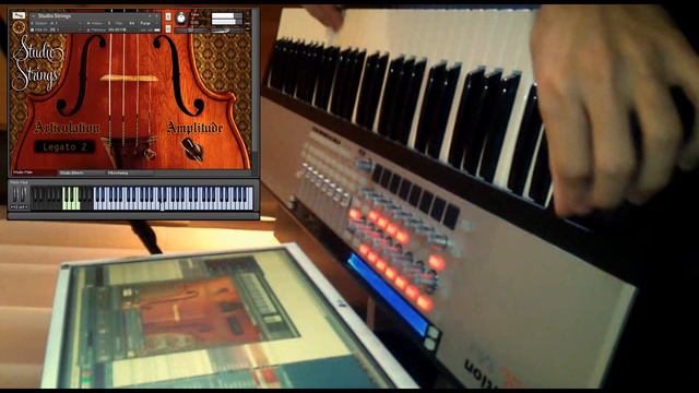 Ethnic Violin Solo смотреть онлайн