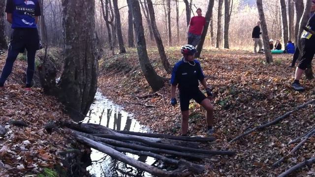 Платина и бобры смотреть онлайн