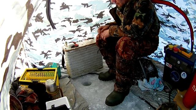 Рыба кишит!!! Рыбалка на Братском водохранилище! смотреть онлайн