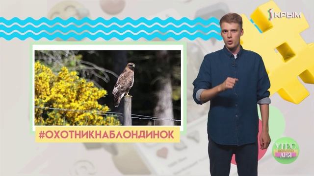 Хэштег. Выпуск от 16.06.22