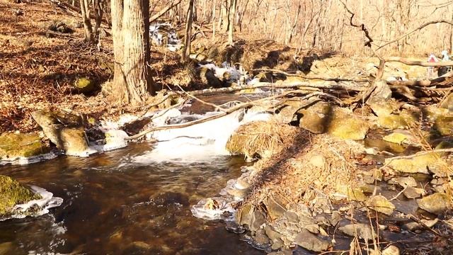 Затерянный Рай . The Lost Paradise .Уссурийская тайга . Пешая прогулка . Canon 80 D .