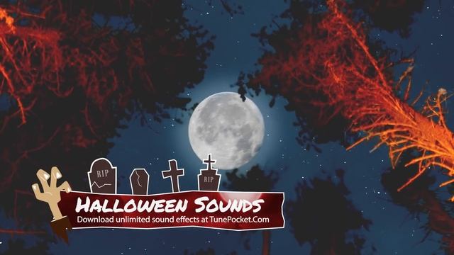Scary Halloween Sounds ? Unlimited Royalty Free Sound Effects