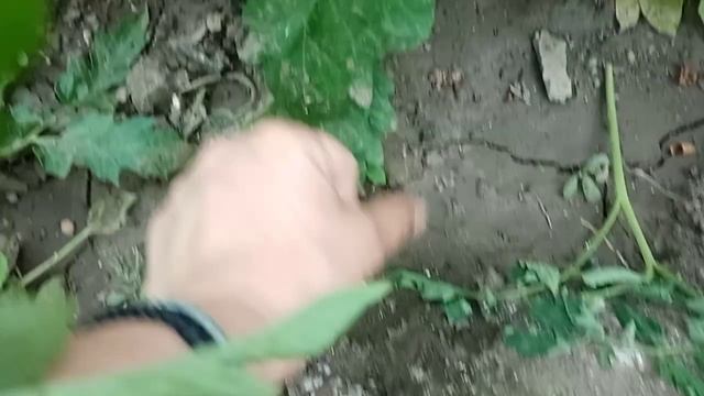 Мой отзыв о затеняющей сети 55% затенения.