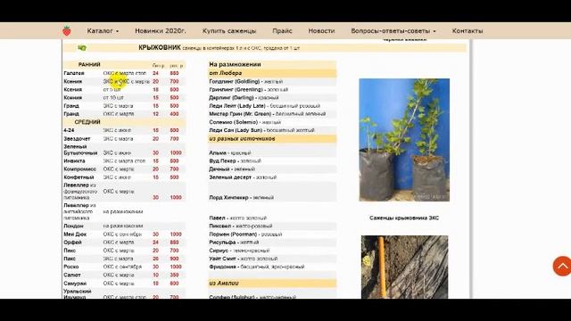 Оформляем заказ быстро смотреть онлайн
