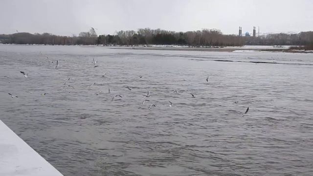 Хохотунья смотреть онлайн