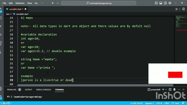 how to use variables or Data type in Dart program#dart #string #dartprogramming #built #youtuber смотреть онлайн