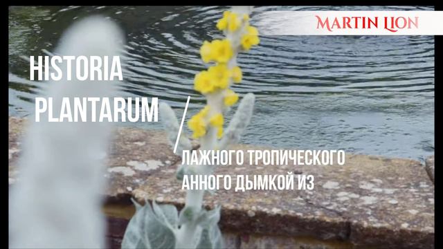 Нишевый аромат BOTANICAL