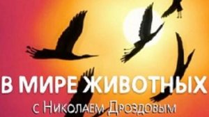 В мире животных с Николаем Дроздовым 2005 г  Выпуск - 4