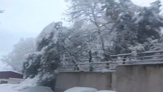 Адлер 18.03.2022