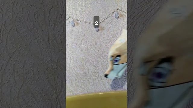 кто станет твоим защитником? #драконы #дракон #хочуврек смотреть онлайн